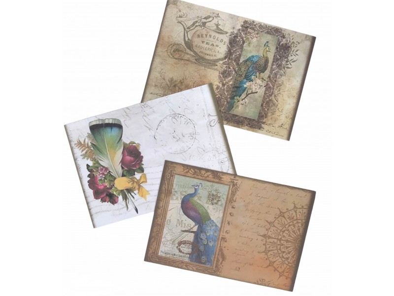 Set plicuri "Vintage"